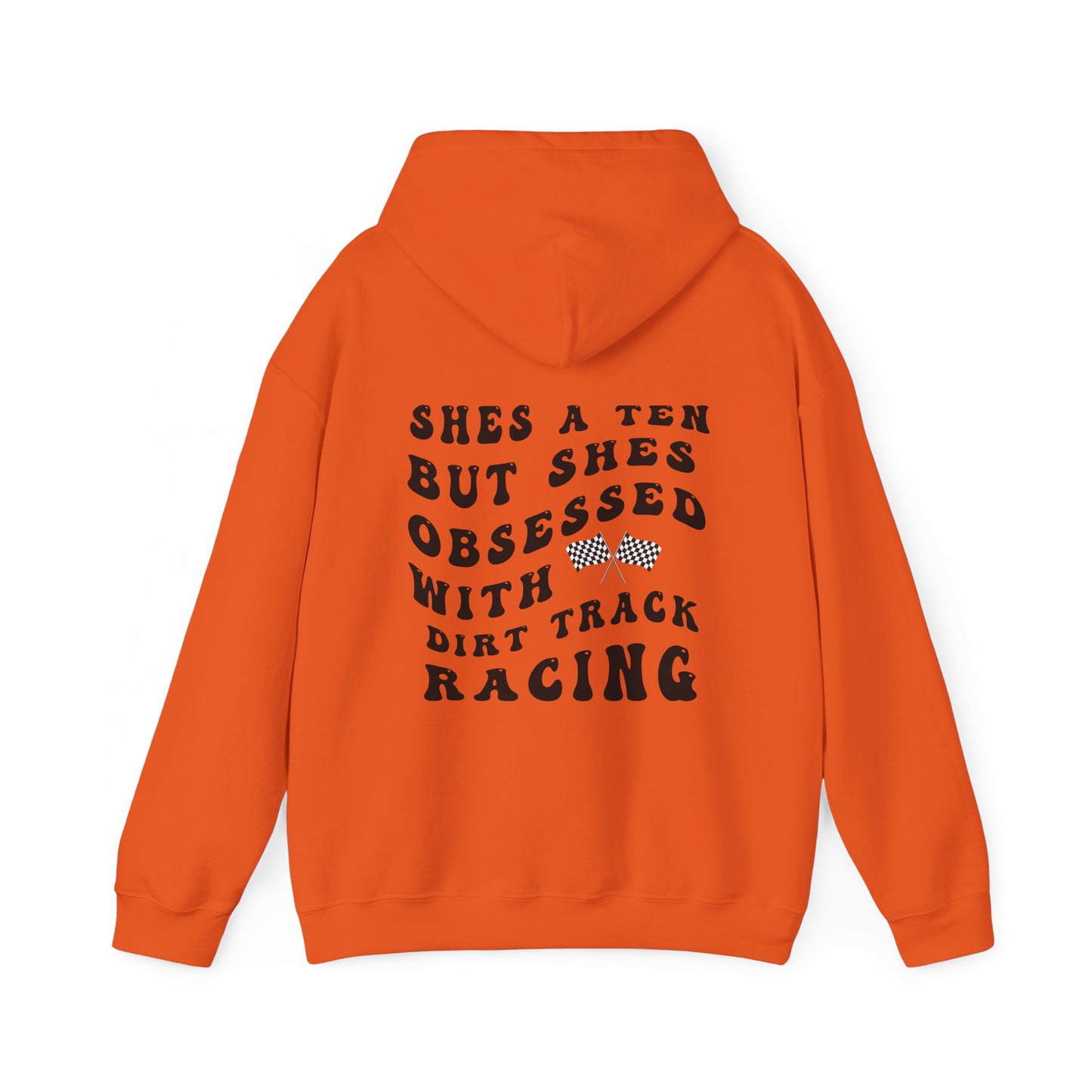 Shes A Ten- Adult Hooded Sweatshirt