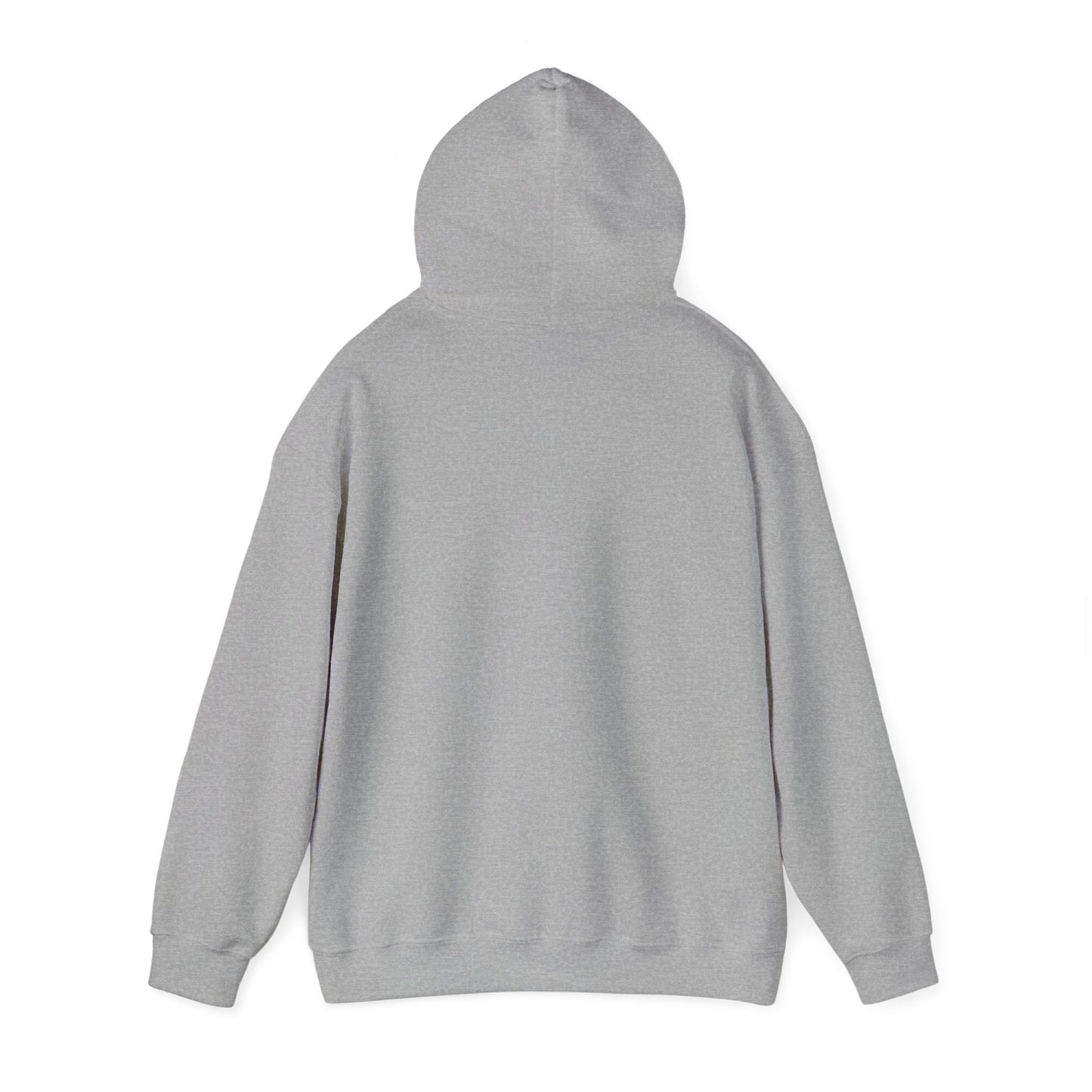 If Dirt Aint Flyin- Adult Hooded Sweatshirt