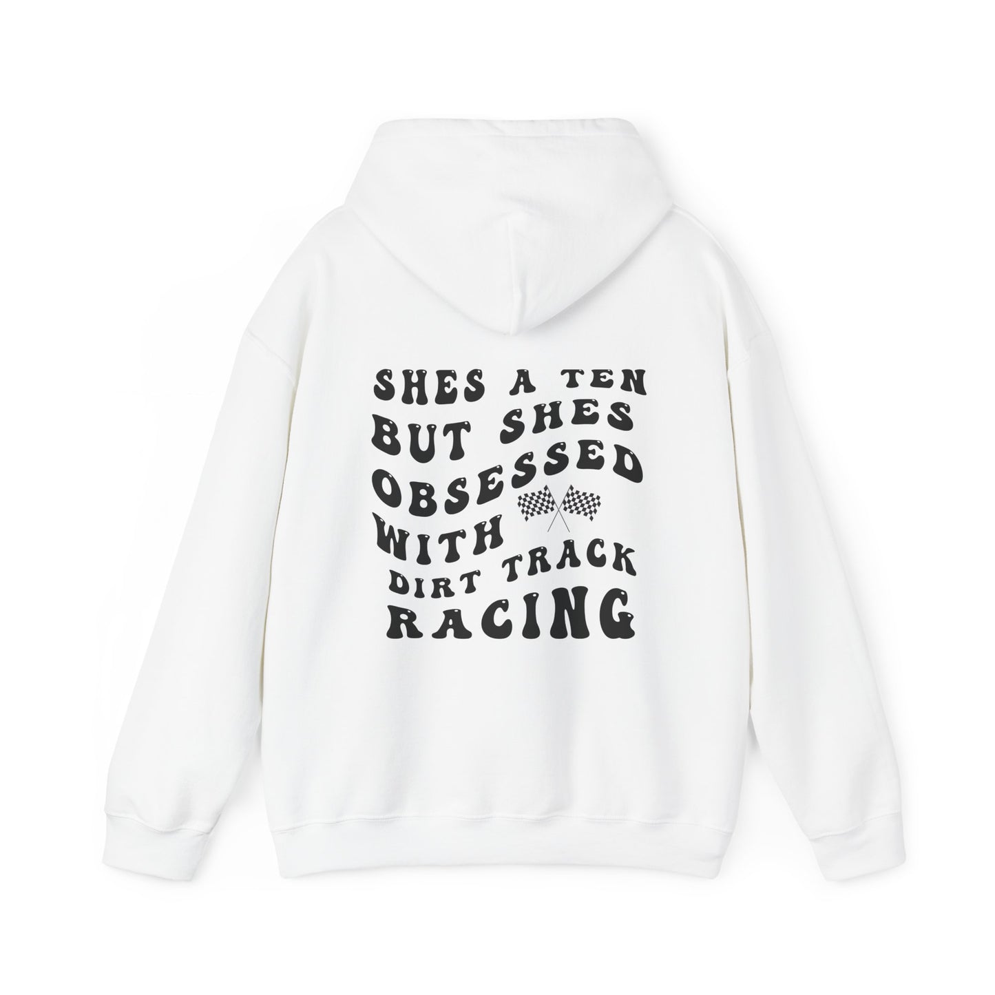 Shes A Ten- Adult Hooded Sweatshirt