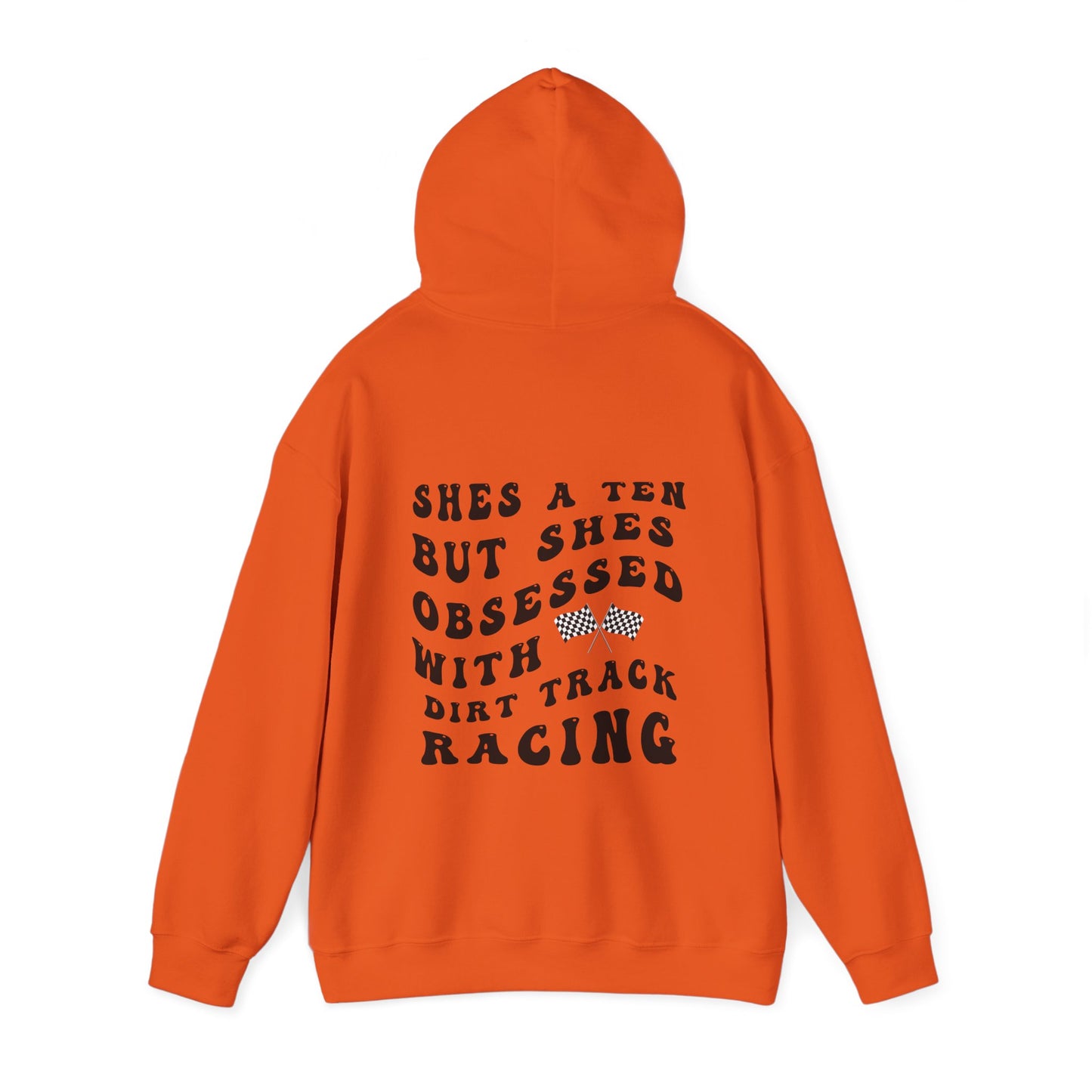 Shes A Ten- Adult Hooded Sweatshirt