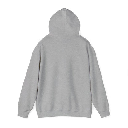 If Dirt Aint Flyin- Adult Hooded Sweatshirt
